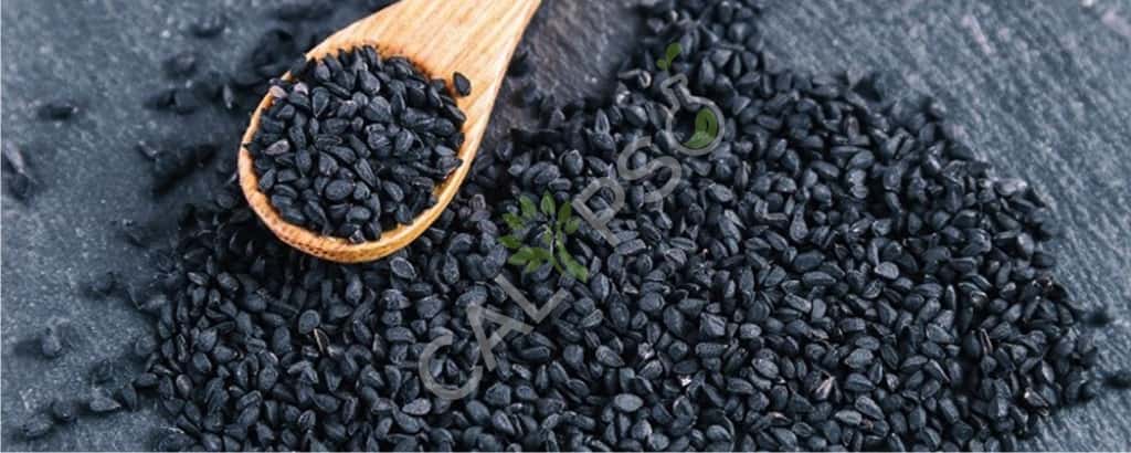 Huile essentielle de cumin noir pure